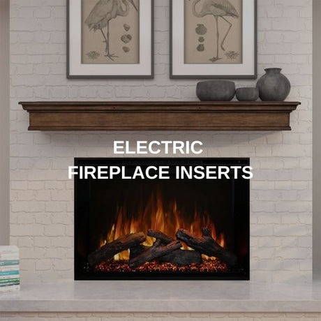 Electric Fireplace Inserts