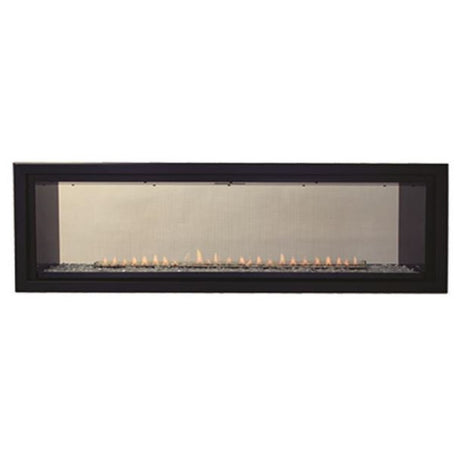 Empire Boulevard See-Through Direct Vent Gas Fireplace