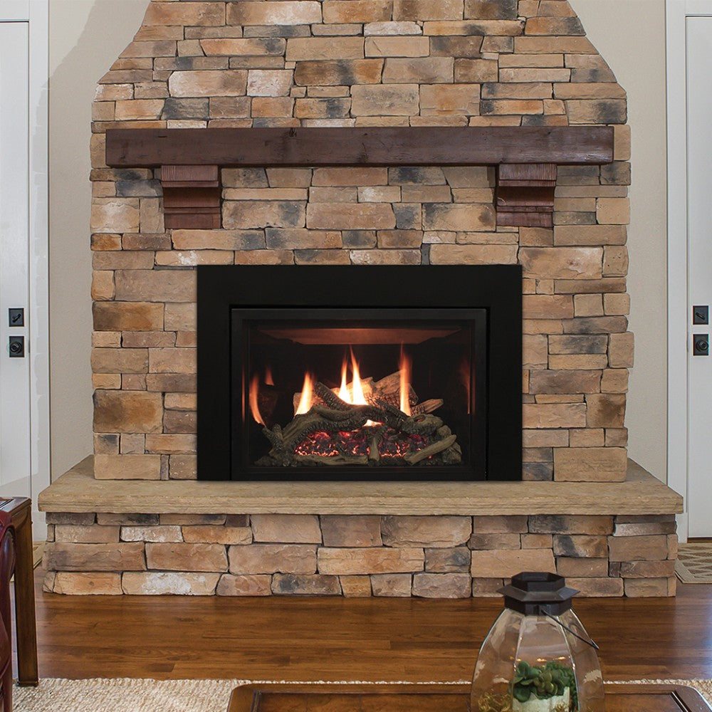 Empire Rushmore Direct Vent Gas Fireplace Insert with Driftwood Logs