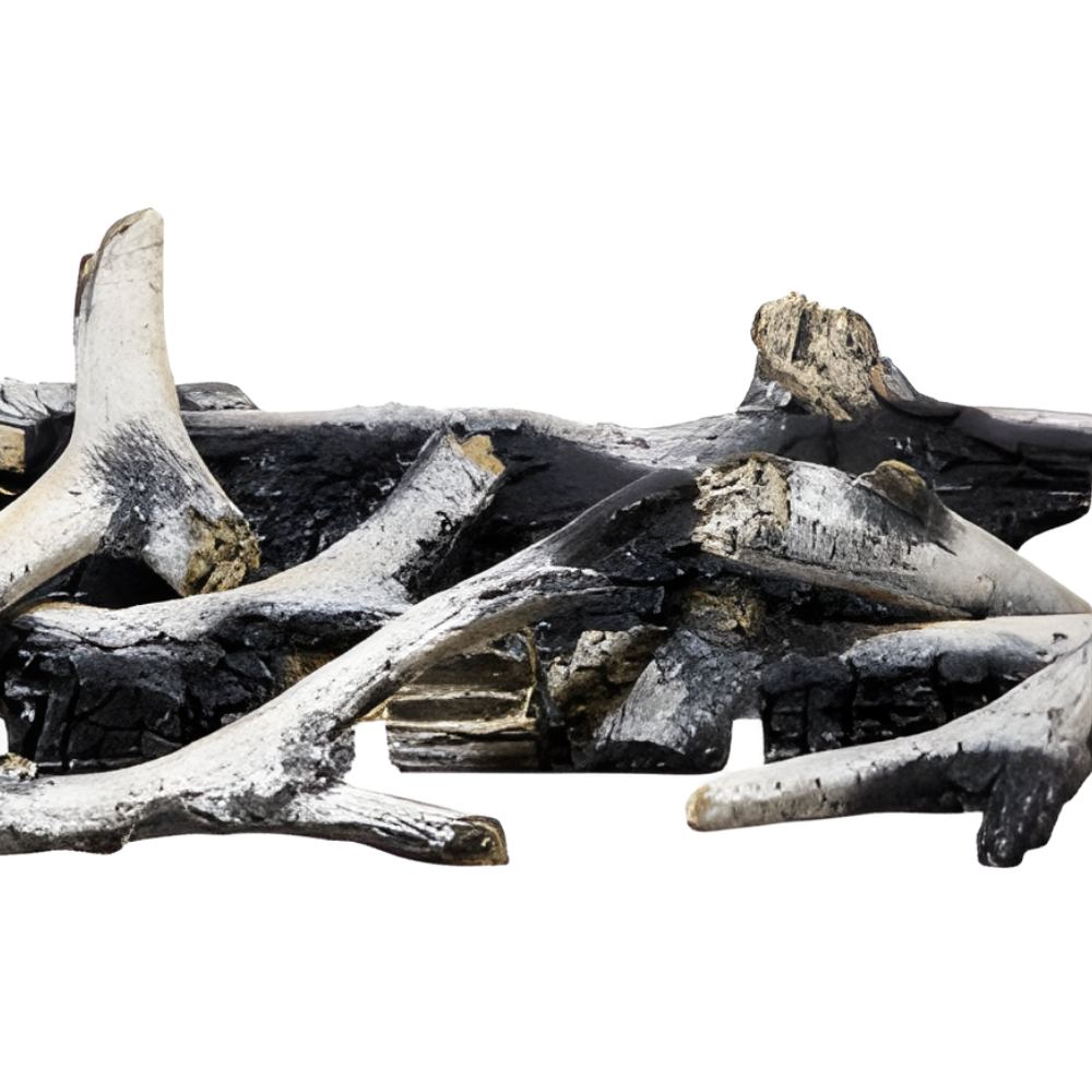 Napoleon Birch Log Set for Altitude X Gas Fireplace