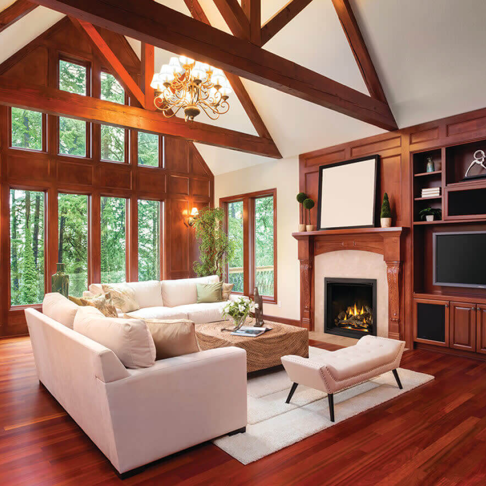 Napoleon Elevation X 36-Inch Gas Fireplace in Traditional Living Room