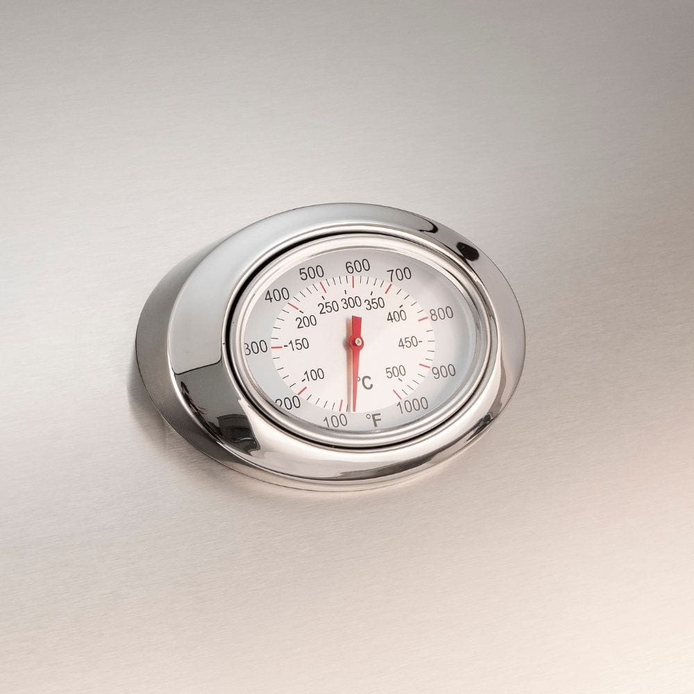 analog thermometer