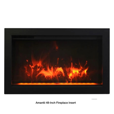 48-Inch Fireplace Insert