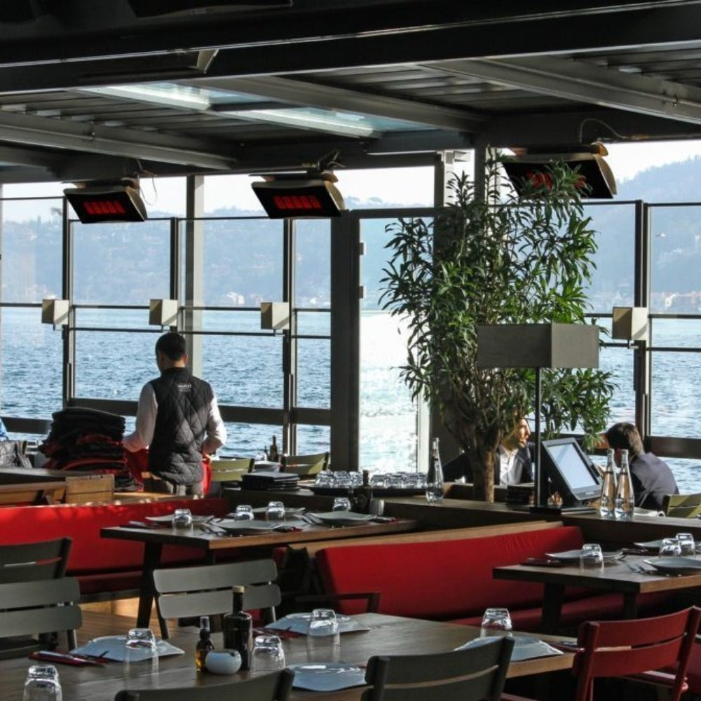 Bromic Heating Platinum Smart-Heat Wall/Ceiling Mounted Gas Heater