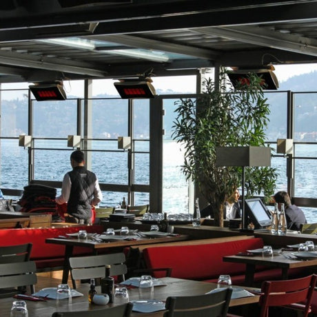 Bromic Heating Platinum Smart-Heat Wall/Ceiling Mounted Gas Heater