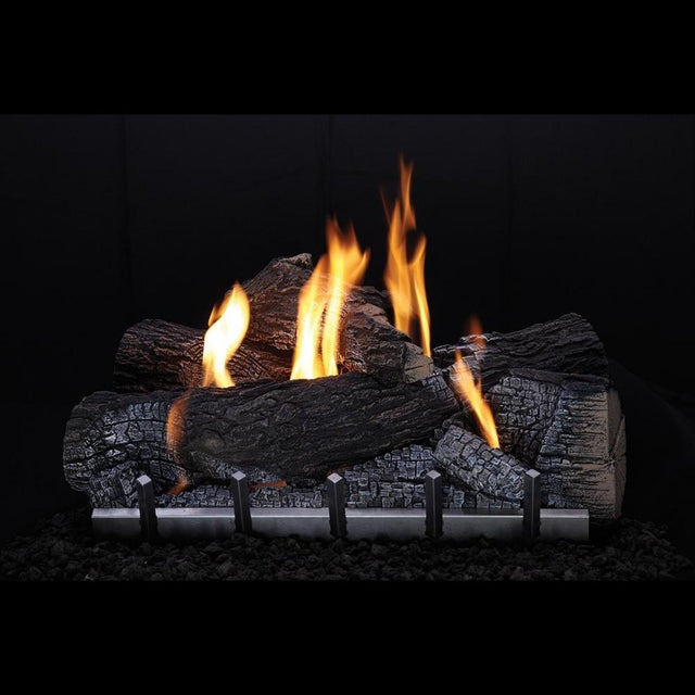 Empire Carol Rose Harmony Outdoor Stainless Steel Gas Insert with Wildwood Log Set