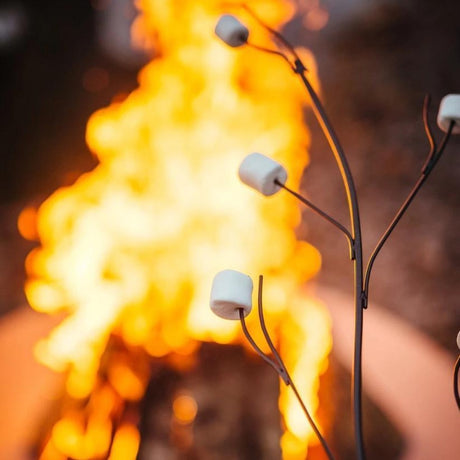 Using the Marshmallow Roasting Art On A Fire Pit