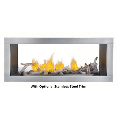 Napoleon Galaxy See-Through with Optional Stainless Steel Trim