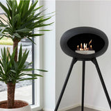 Black-Black Bowl Black Legs 800104
