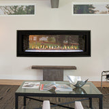 Empire Boulevard See-Through Direct Vent Gas Fireplace at Living Room