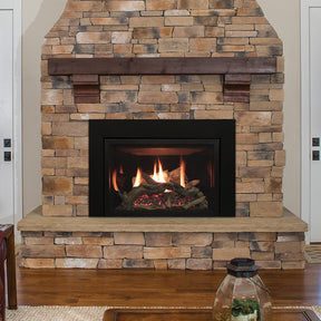Empire Rushmore Direct Vent Gas Fireplace Insert with Driftwood Logs