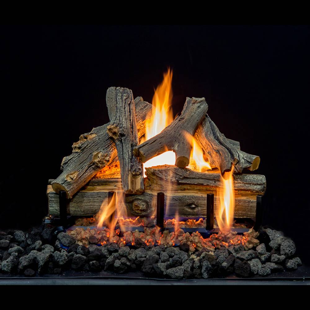 Grand Canyon AZ Juniper 21