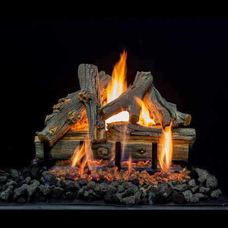 Grand Canyon AZ Juniper 21