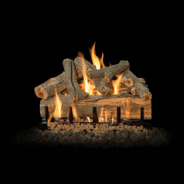 Grand Canyon AZ Juniper 24