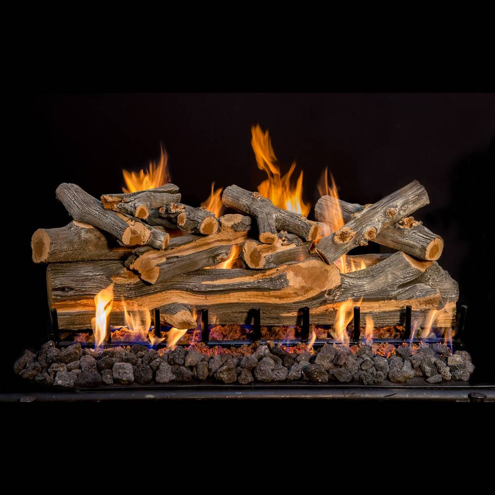 Grand Canyon AZ Juniper 42