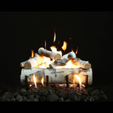 Grand Canyon Quaking Aspen 18