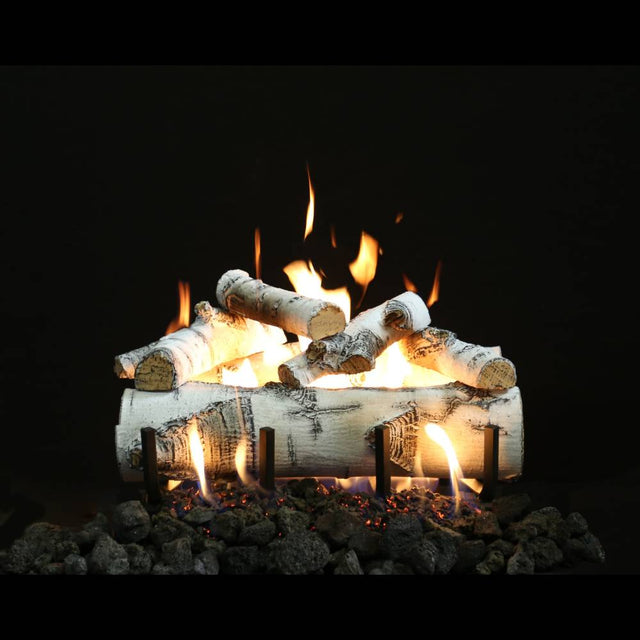 Grand Canyon Quaking Aspen 18