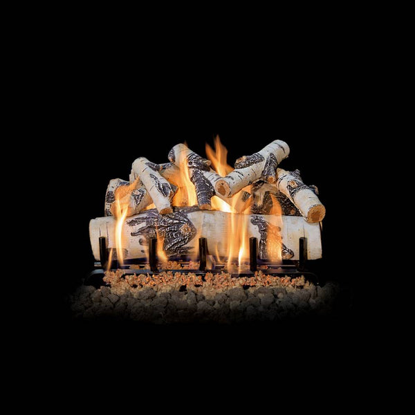 Grand Canyon Quaking Aspen 24