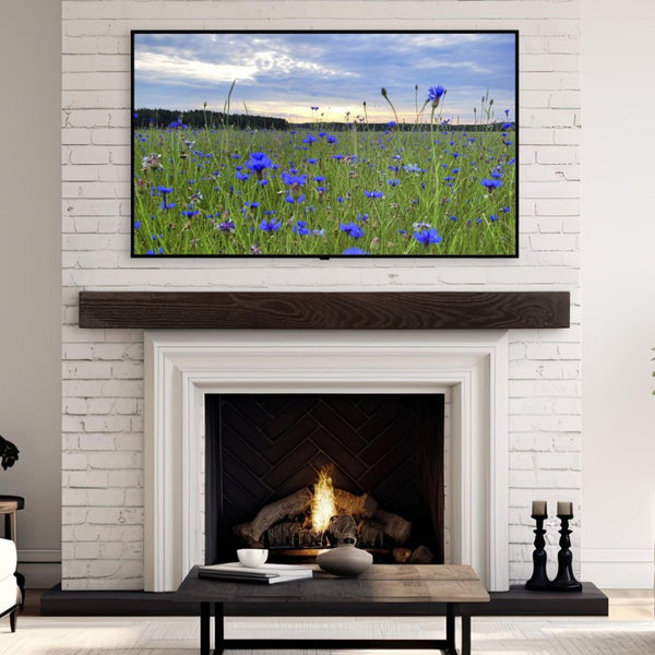 Lexington Hearth Classic Mantel in Walnut at Living Room