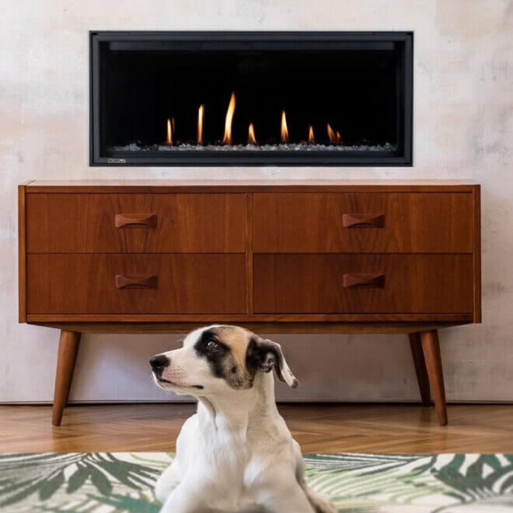 Montigo DelRay 36-Inch Direct Vent Basic Linear Gas Fireplace at Living Room with Dog