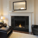 Napoleon Ascent 42-Inch Gas Fireplace in Classic Living Room