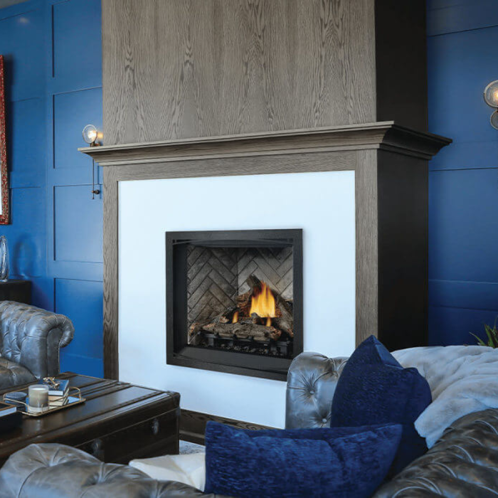 Napoleon Elevation Gas Fireplace in Classic Living Room