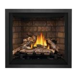 Napoleon Elevation Traditional Direct Vent Gas Fireplace