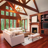 Napoleon Elevation X 36-Inch Gas Fireplace in Traditional Living Room