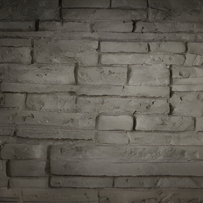 Napoleon Panel Kit in Ledgestone Brick