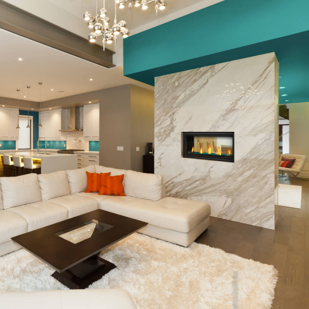 Napoleon Vector See-Through 38-Inch Gas Fireplace as Living Room Divider
