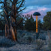 patiofyre metro jetlamp pellet patio heater beside a tree