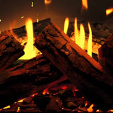 Solution Fires TrueFlame 150 3DX with Ceramic Logs