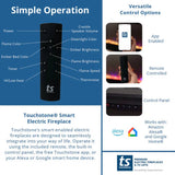 Touchstone Fireplug Pro Controls