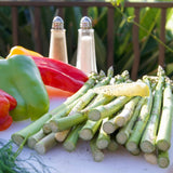 grilled asparagus cooked on the American Outdoor Grill L 30" Gas Grill