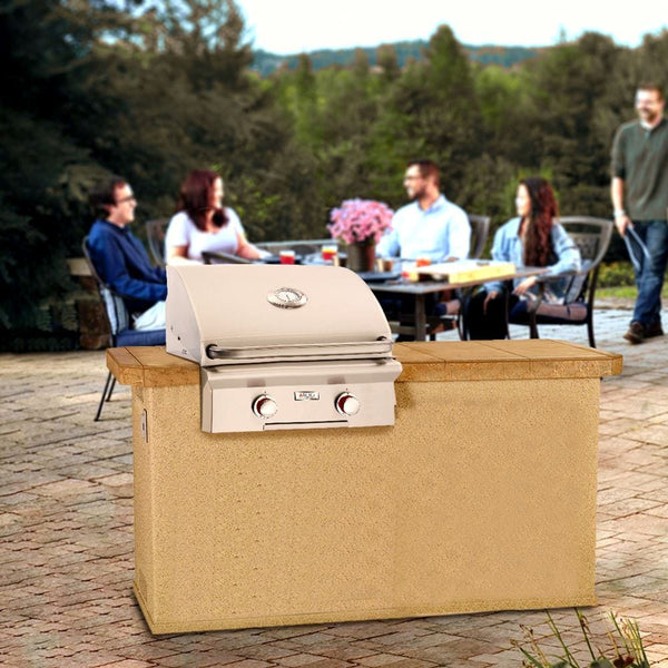 American Outdoor Grill T-Series 24-Inch Built-In Gas Grill at the backyard