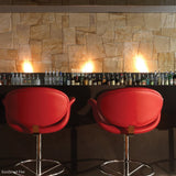 EcoSmart Fire BK5 16" Ethanol Fireplace Burner in Hurricane's Grill and Bar