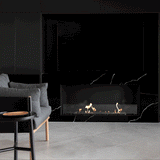 EcoSmart Fire Flex Single Sided Ethanol Firebox with moving fire