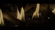 Napoleon Linear Series Gas Fireplaces Video