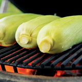 Corn Roasting