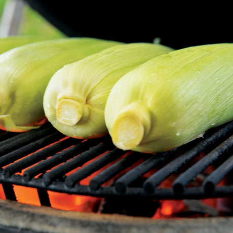 Corn Roasting