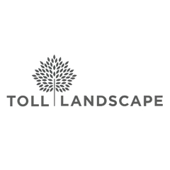 Toll Landscape