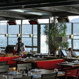 Bromic Heating Platinum Smart-Heat Wall/Ceiling Mounted Gas Heater