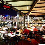 Bromic Heating Platinum Smart-Heat Wall/Ceiling Mounted Gas Heater