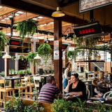 Bromic Heating Platinum Smart-Heat Wall/ Ceiling Mounted Gas Heater