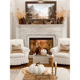 Dimplex RBF42 Revillusion™ 42-Inch Built-in Electric Firebox with White Wood Surround