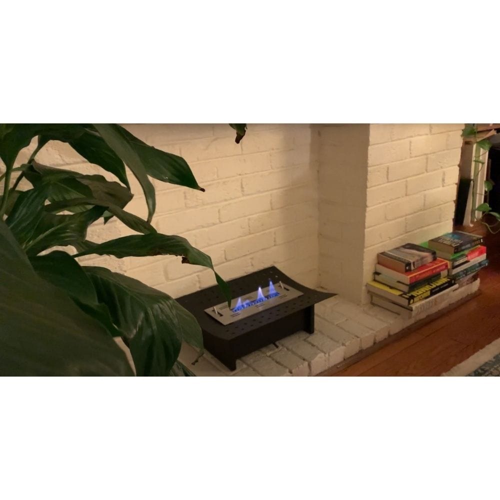 Eco-Feu 12-Inch Ethanol Insert for Traditional Fireplace Between Plant and Stacked Books