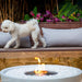EcoSmart Fire Mix Fire Bowl in Bone with Dog