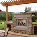 Empire Carol Rose Harmony Outdoor Stainless Steel Gas Insert in Outdoor Fireplace