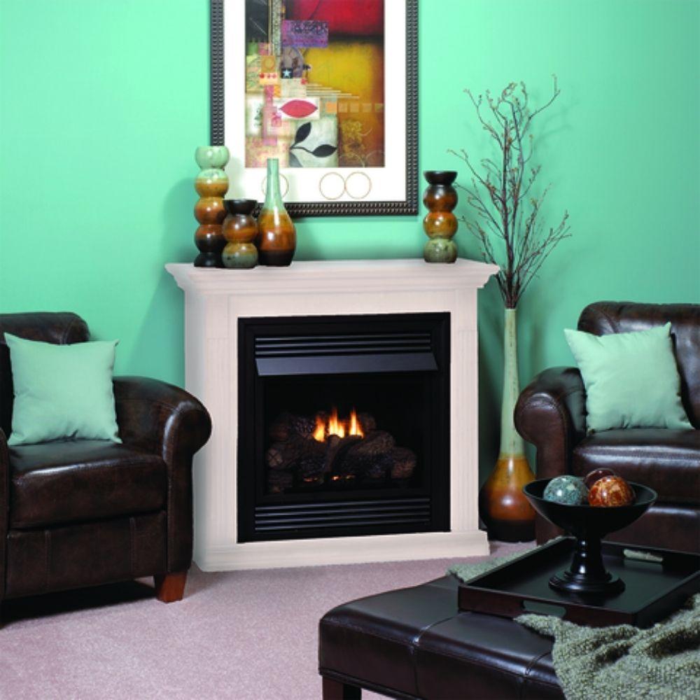 Empire Vail Gas Fireplace with Black Porcelain Liner