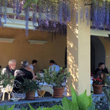 Heatscope Spot 35" White Electric Heaters in Restaurant